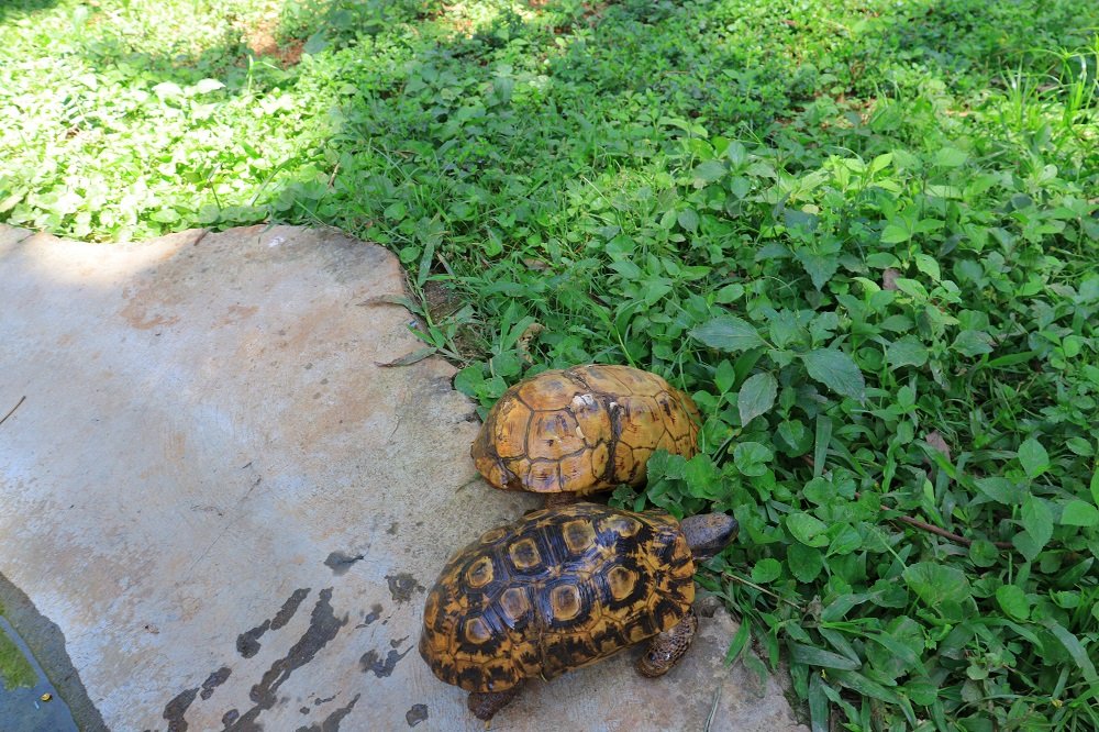 Team building activities